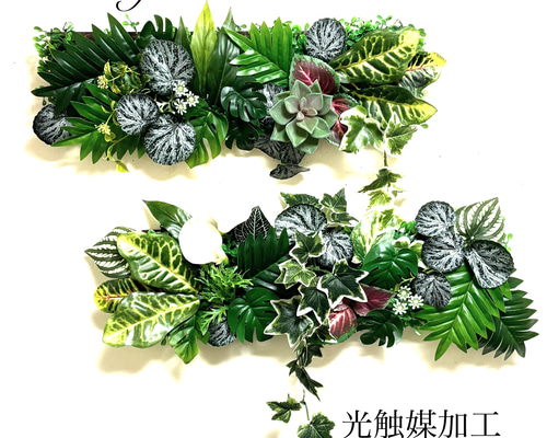 光触媒加工ウォールグリーン フェイクグリーン壁掛け2枚組Y-1 アート