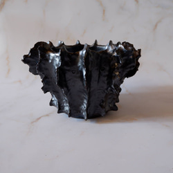 5号艶流紋黒襞鉢385　塊根植物　多肉植物　アガベ　盆栽　植木鉢　作家鉢　鉢台　沖縄 3枚目の画像