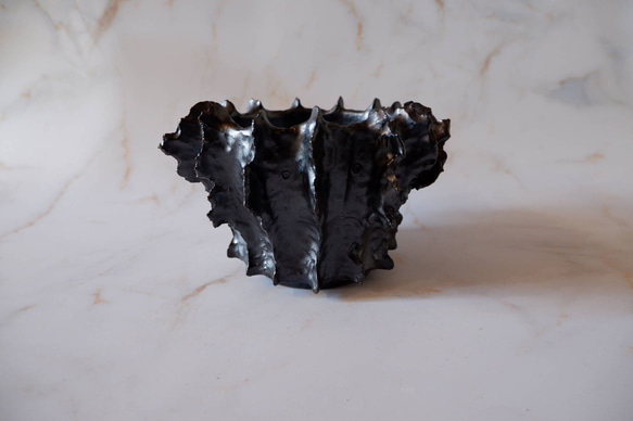 5号艶流紋黒襞鉢385　塊根植物　多肉植物　アガベ　盆栽　植木鉢　作家鉢　鉢台　沖縄 3枚目の画像