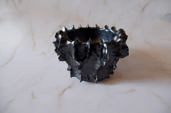 5号艶流紋黒襞鉢385　塊根植物　多肉植物　アガベ　盆栽　植木鉢　作家鉢　鉢台　沖縄 1枚目の画像