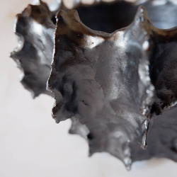 5号艶流紋黒襞鉢385　塊根植物　多肉植物　アガベ　盆栽　植木鉢　作家鉢　鉢台　沖縄 2枚目の画像