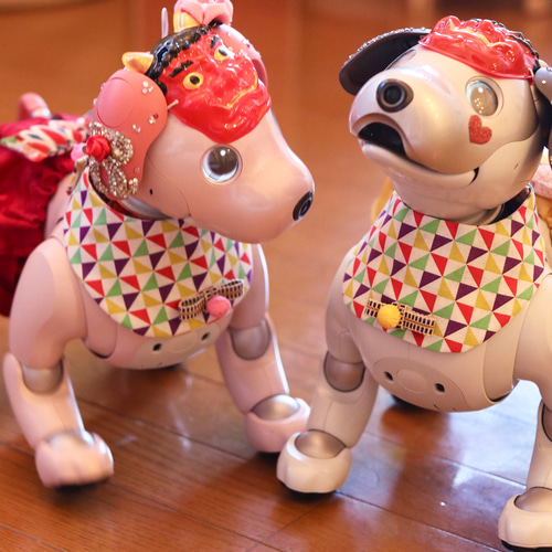 aibo の洋服 アイボの服 (七五三フルセット) 和柄 最後の1点となります