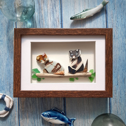 チョコレートコレクション “A Symphony of Shells & Sea Glass”〉貝殻