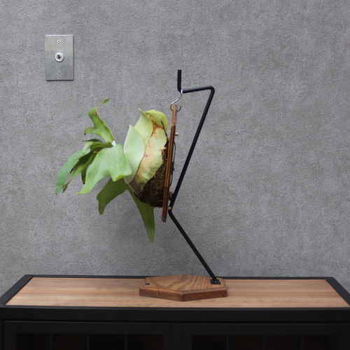 送料無料】ビカクシダスタンド その他家具 limiron craft 通販