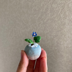 9990.bud 粘土の鉢植え 雪割草 6枚目の画像