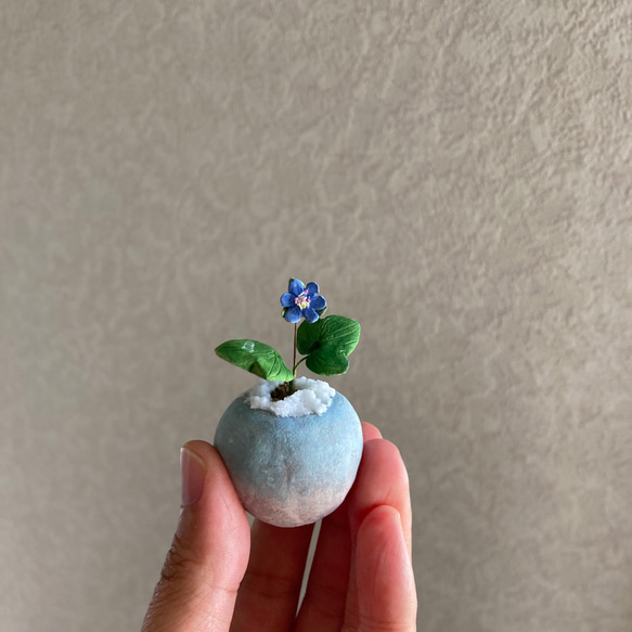 9990.bud 粘土の鉢植え 雪割草 6枚目の画像