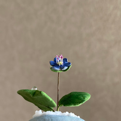 9990.bud 粘土の鉢植え 雪割草 5枚目の画像