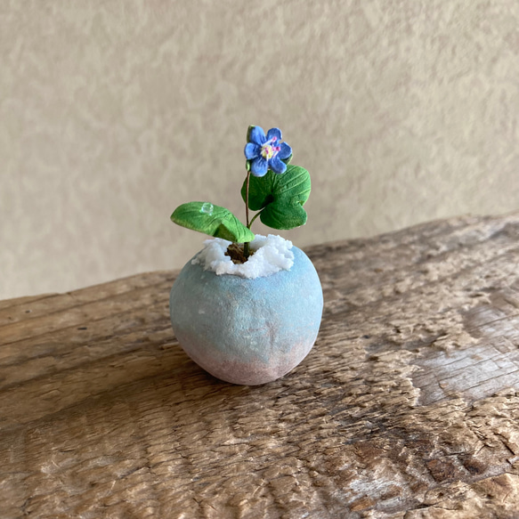 9990.bud 粘土の鉢植え 雪割草 4枚目の画像