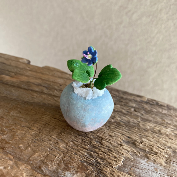 9990.bud 粘土の鉢植え 雪割草 2枚目の画像