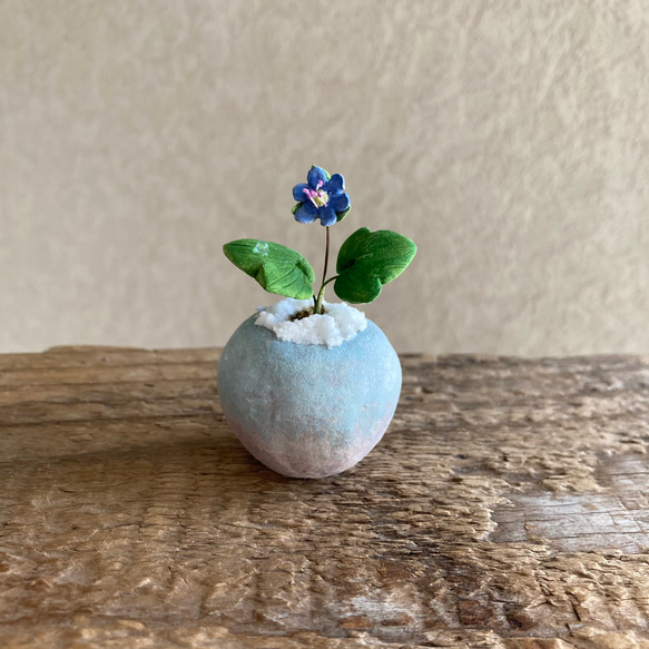 9990.bud 粘土の鉢植え 雪割草 1枚目の画像