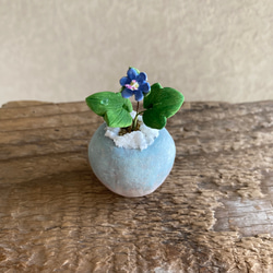 9990.bud 粘土の鉢植え 雪割草 3枚目の画像