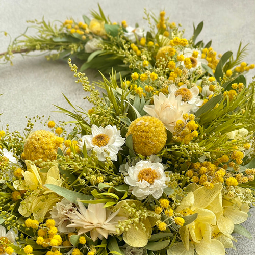 予約販売】 ミモザ ＊ ナチュラル三日月リース M /mimosa / ミモザの日