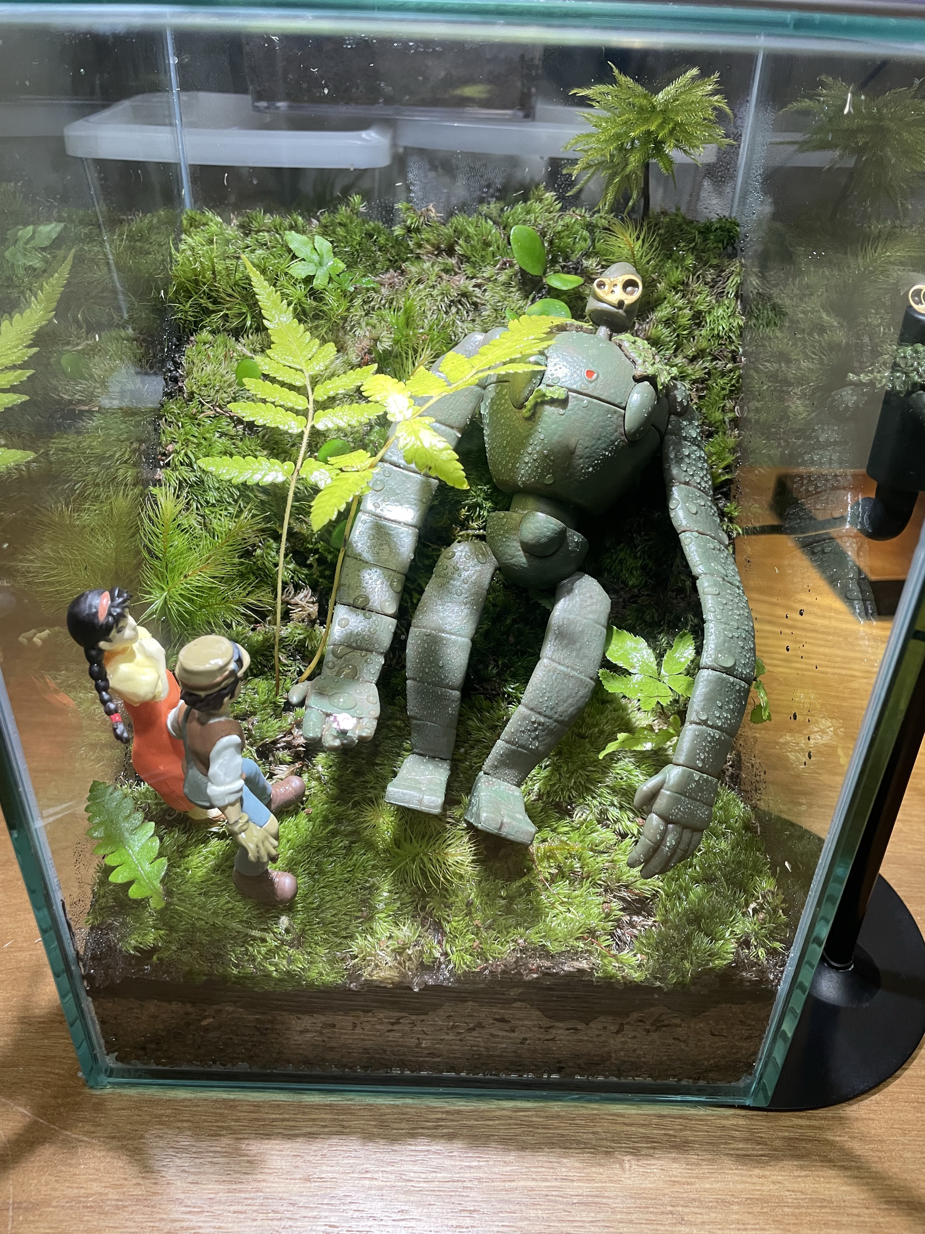 【No.4】苔テラリウム 苔リウム テラリウム 苔玉　盆栽