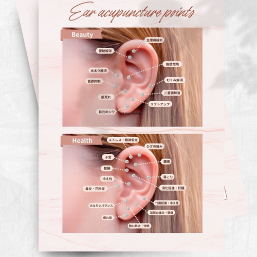 耳つぼジュエリー資料セット 9枚 耳つぼマップ 図鑑 辞典 カルテ