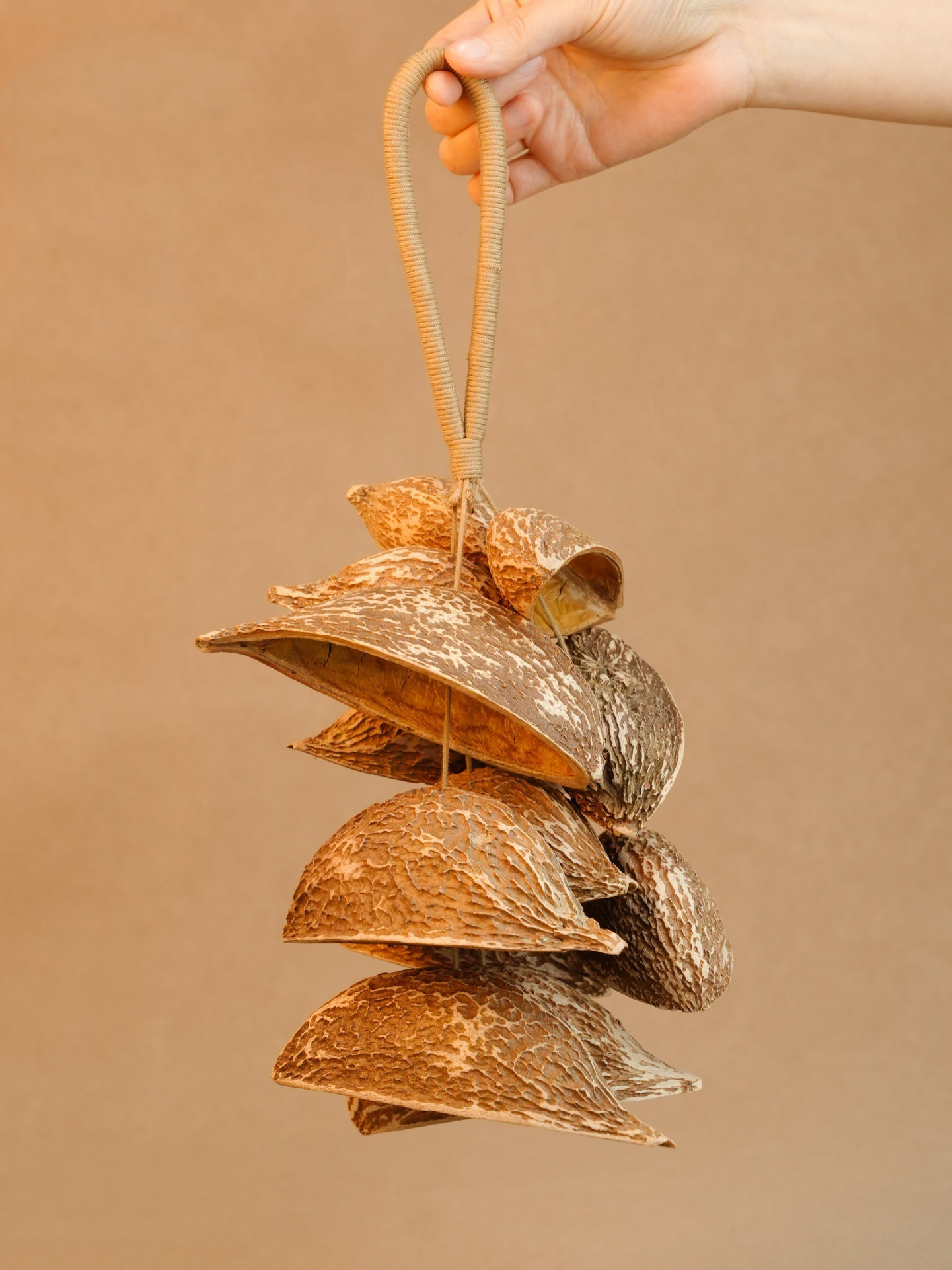 天然果殻の手揺ぎ鈴｜森の実12個｜バッグチャーム 自然の音を束ねたナチュラル風鈴チャーム｜ハンドメイド癒しギフト 癒しイ