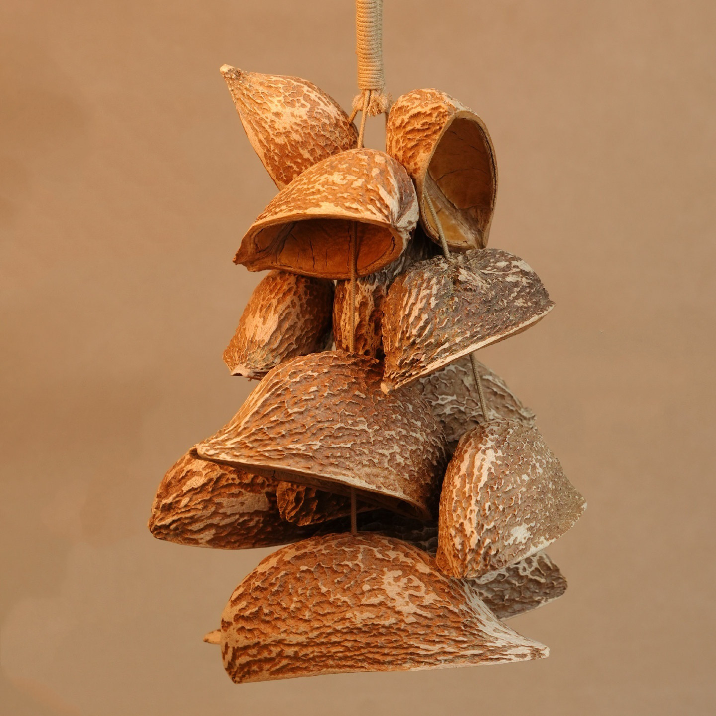 天然果殻の手揺ぎ鈴｜森の実18個｜バッグチャーム 自然の音を束ねたナチュラル風鈴チャーム｜ハンドメイド癒しギフト 癒しイ