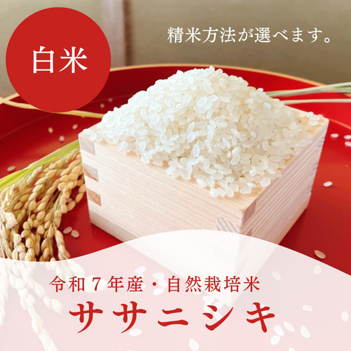 10kg】自然栽培《ササニシキ》（令和7年産 / 無施肥・農薬不使用） 米