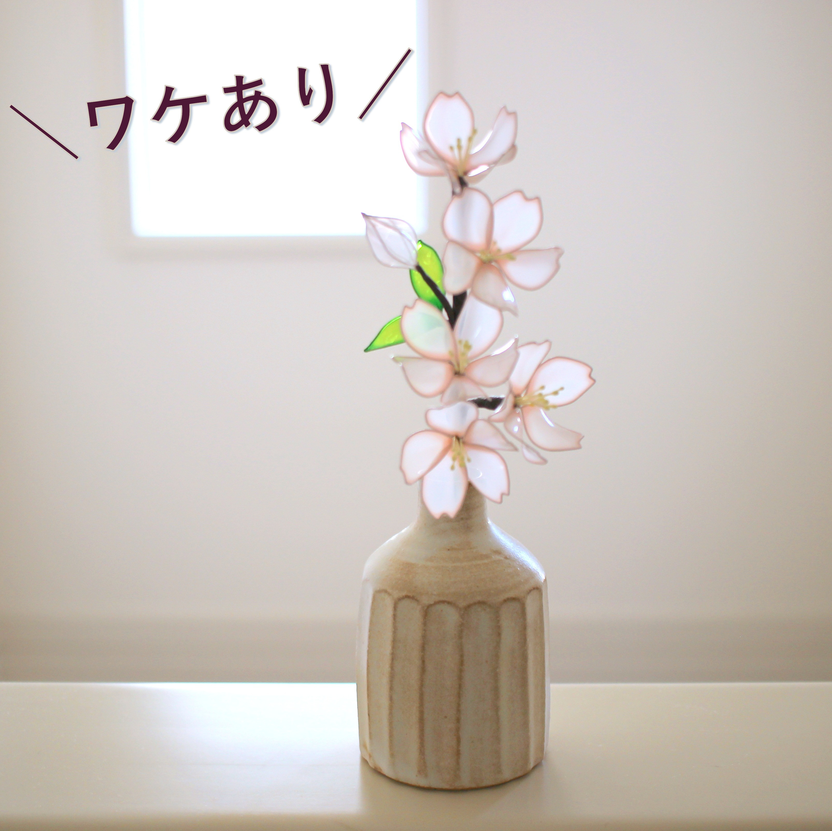 ＼ワケあり／光に透ける桜と花瓶のセット
