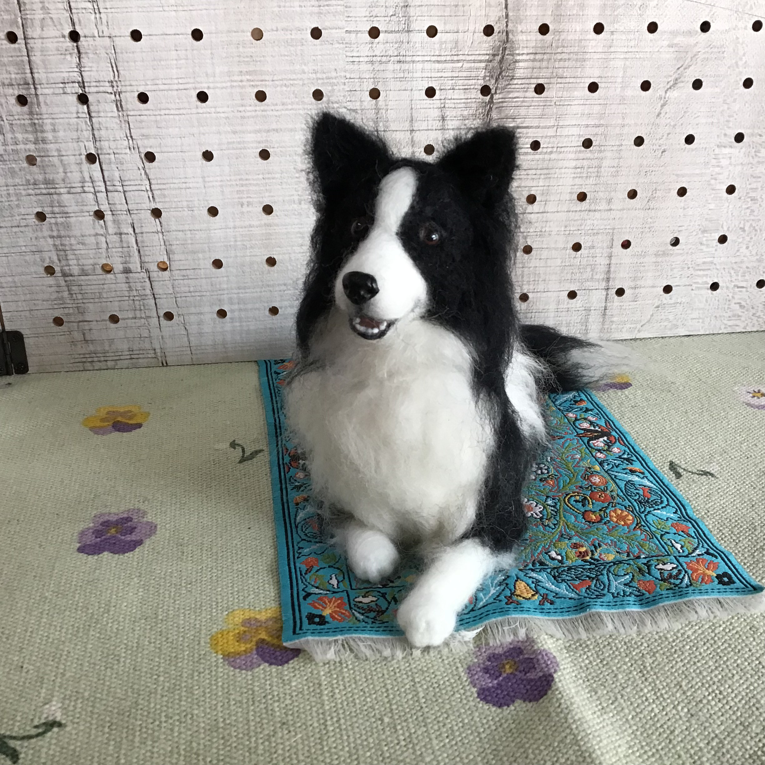 ボーダーコリー（伏せポーズ）