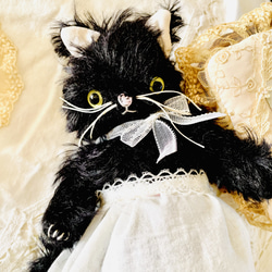 テディキャット ふわふわ猫ちゃん テディベア ぬいぐるみ ぽぷり 通販