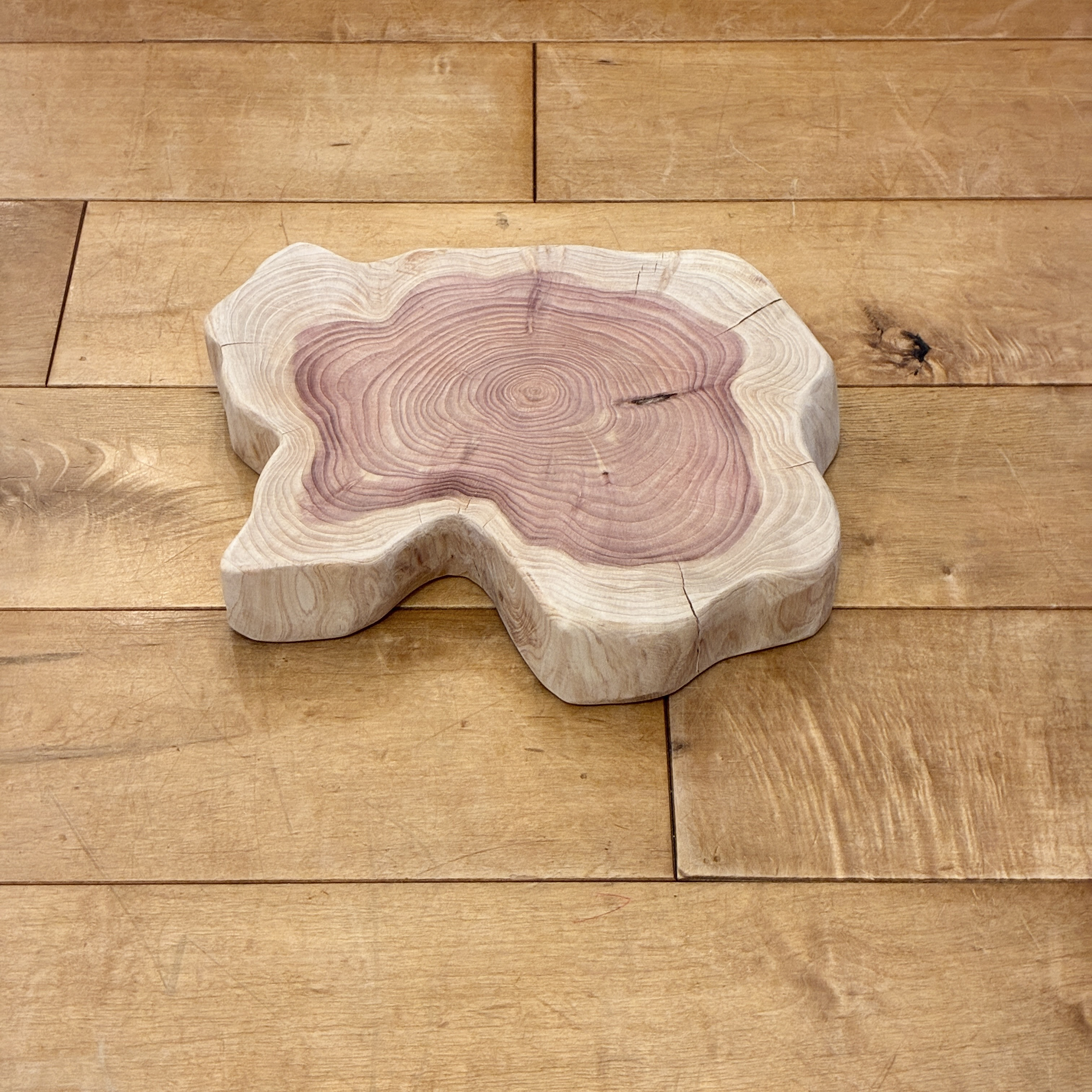 カイヅカイブキ　No.1530