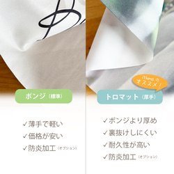 うちのこ写真から作る イラスト＆お名前入りバースデータペストリー / d&c_BD ★名入れ【誕生日 ペット 犬 猫】 8枚目の画像