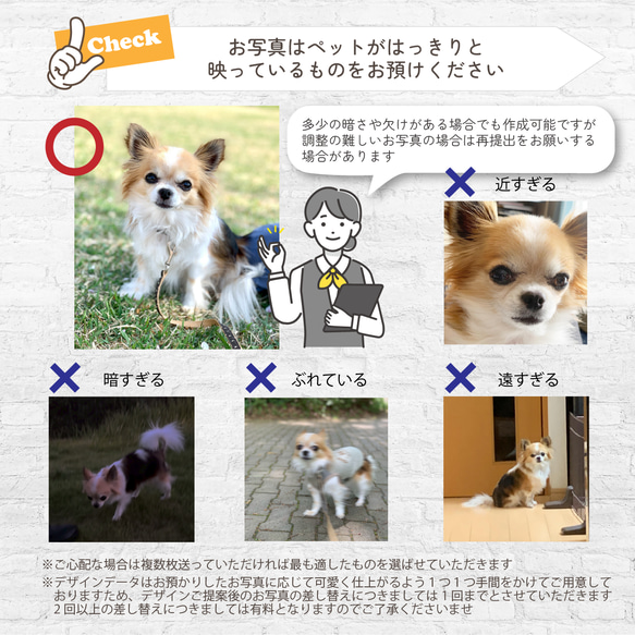 うちのこ写真から作る イラスト＆お名前入りバースデータペストリー / d&c_BD ★名入れ【誕生日 ペット 犬 猫】 9枚目の画像