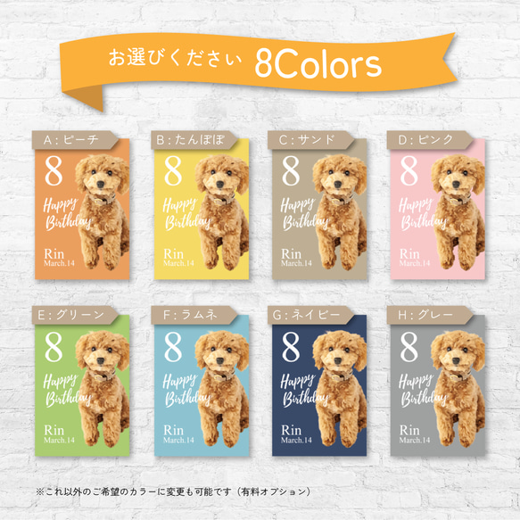 うちのこ写真から作る イラスト＆お名前入りバースデータペストリー / d&c_BD ★名入れ【誕生日 ペット 犬 猫】 2枚目の画像