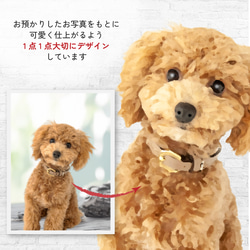 うちのこ写真から作る イラスト＆お名前入りバースデータペストリー / d&c_BD ★名入れ【誕生日 ペット 犬 猫】 3枚目の画像