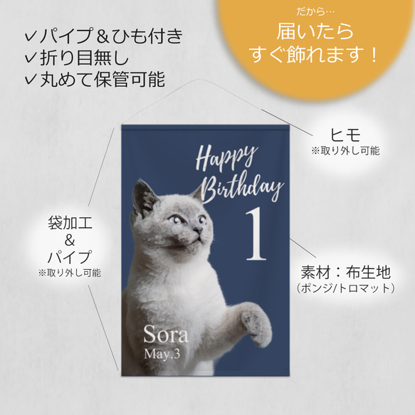うちのこ写真から作る イラスト＆お名前入りバースデータペストリー / d&c_BD ★名入れ【誕生日 ペット 犬 猫】 6枚目の画像