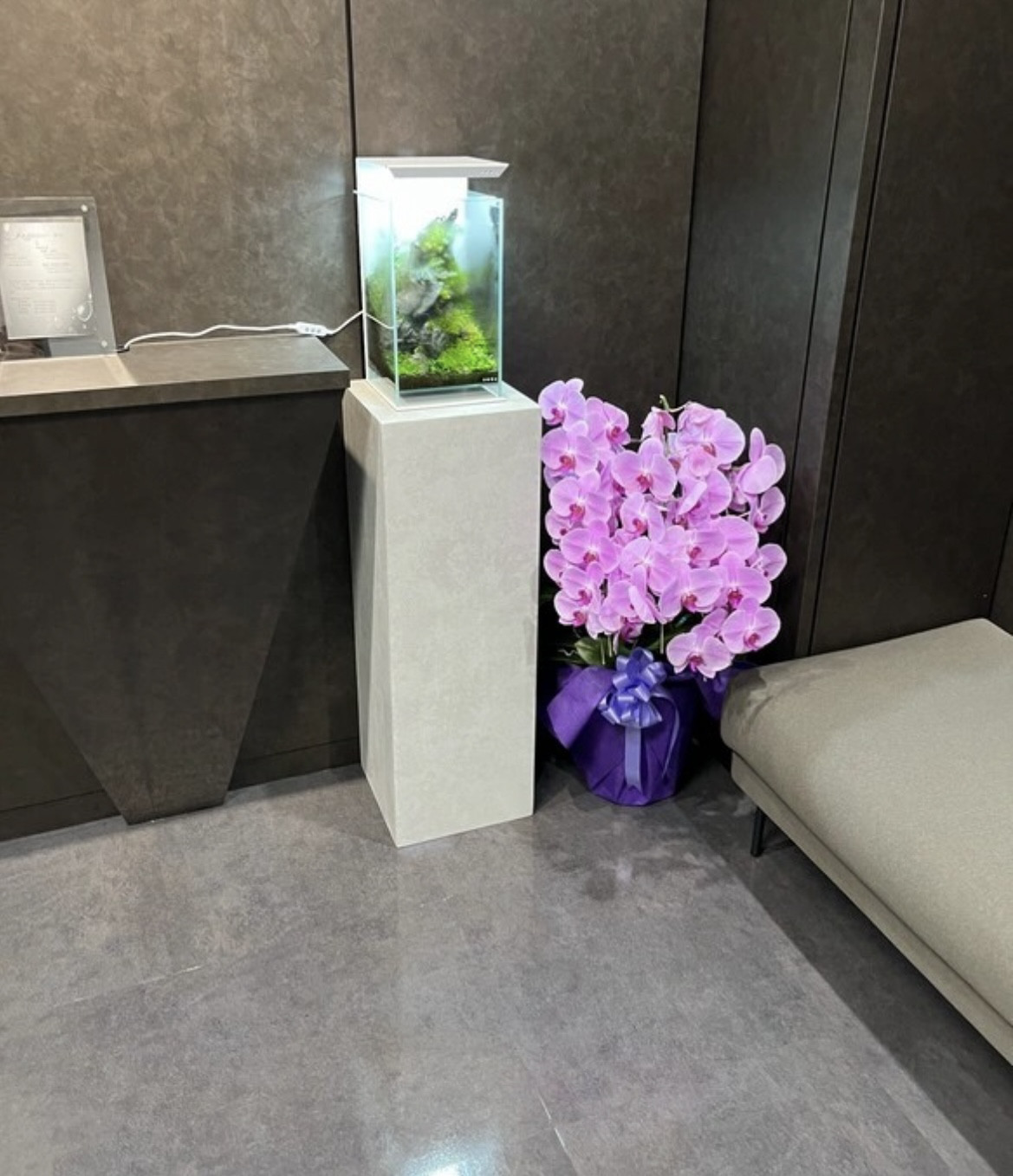 35.35.73  石っぽい　ディスプレイボックス　展示台