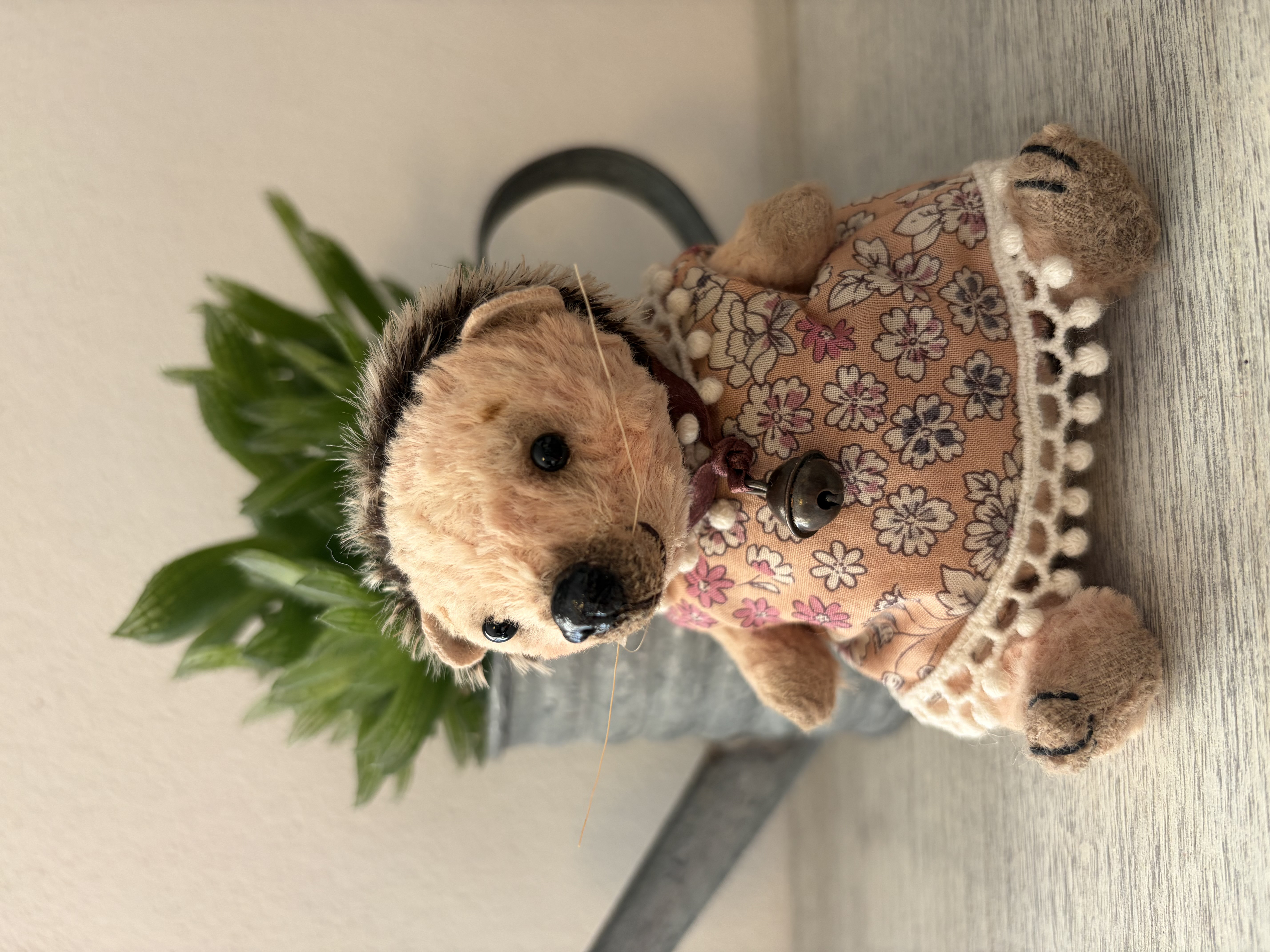 ハリネズミちゃん、Teddy animals 13センチ