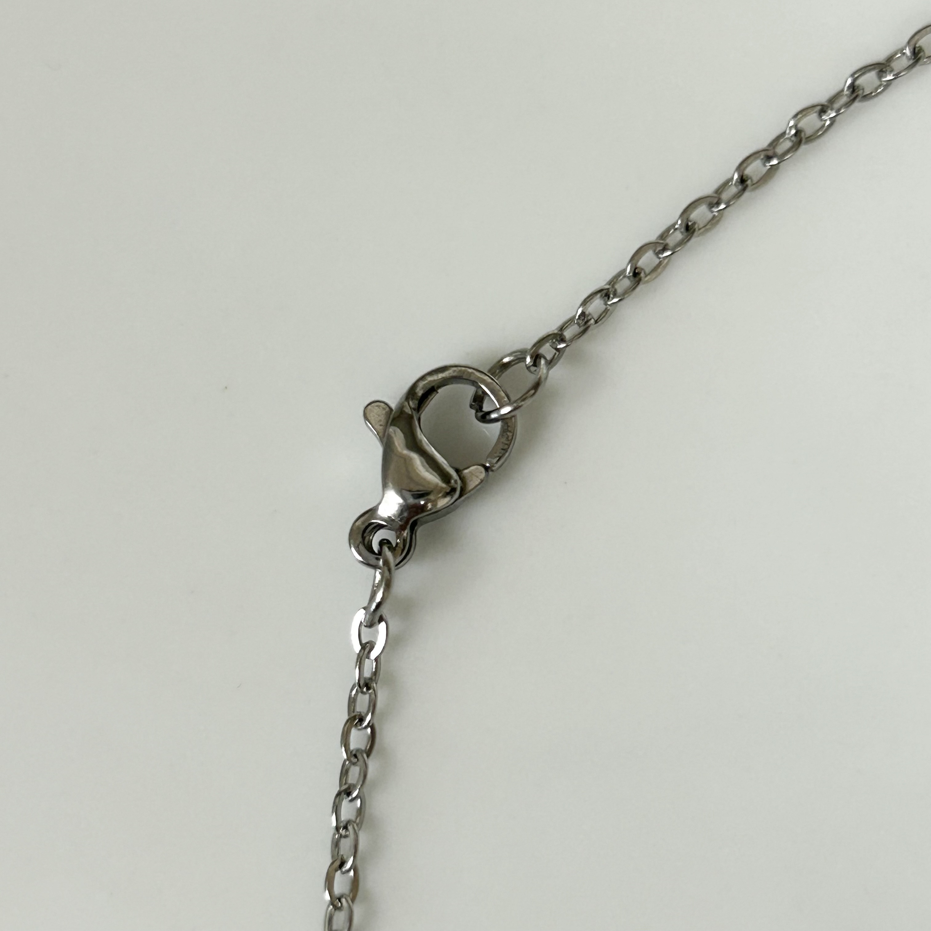 1930’s ～ 1950’s ヴィンテージ 獅子座 12星座 ネックレス フランス 銀製 コイン アンティーク 作家