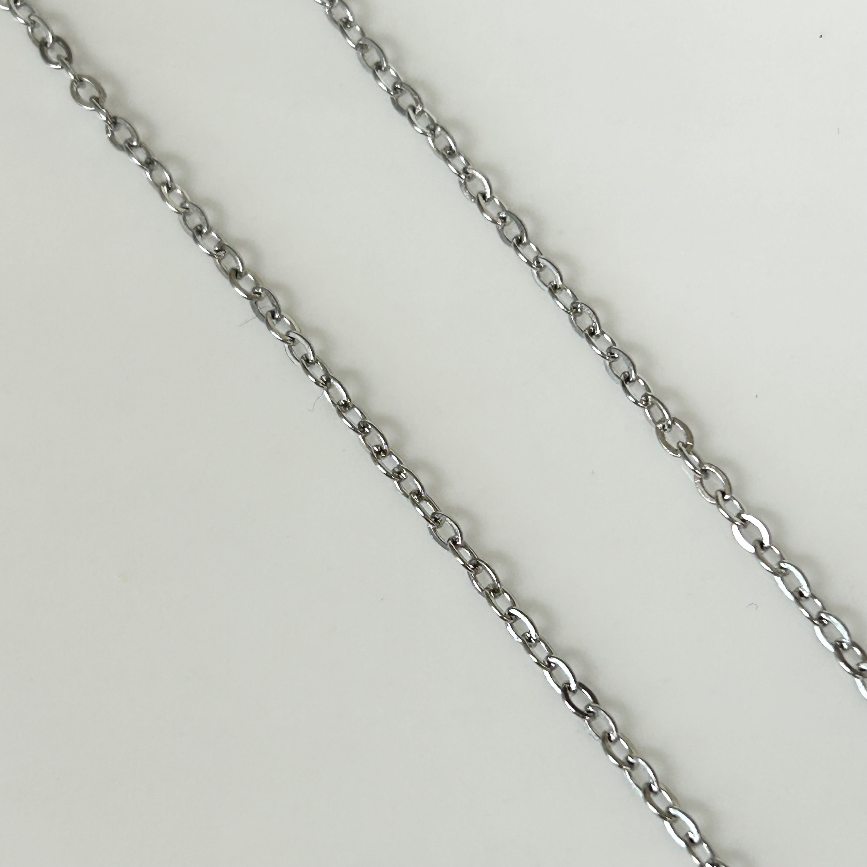 1930’s ～ 1950’s ヴィンテージ 獅子座 12星座 ネックレス フランス 銀製 コイン アンティーク 作家