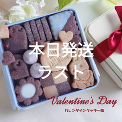 メレンゲクッキー 焼き菓子 maizenita 通販 16419478｜Creema(クリーマ