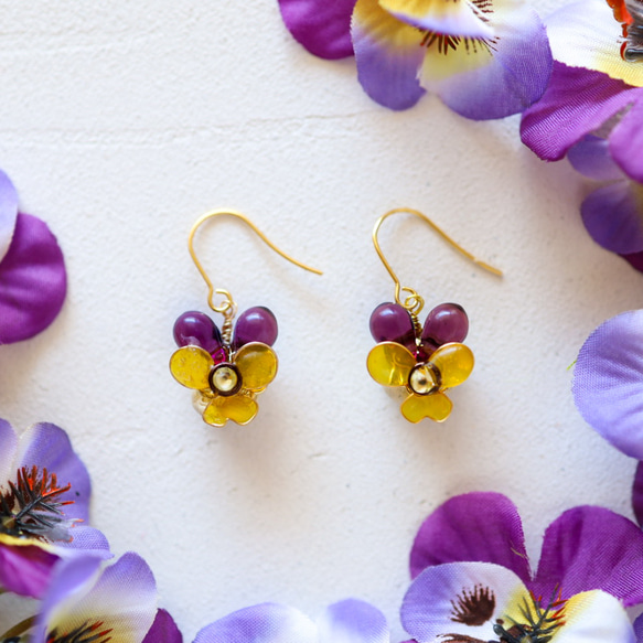  第2張的照片