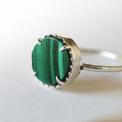 （925銀，獨一無二）寶石級硬幣切割孔雀石銀戒指（10毫米，17號） 第1張的照片