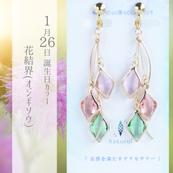 365日企画】8/22誕生日カラー 『空の紅香花（クルクマ）』-月読の涙