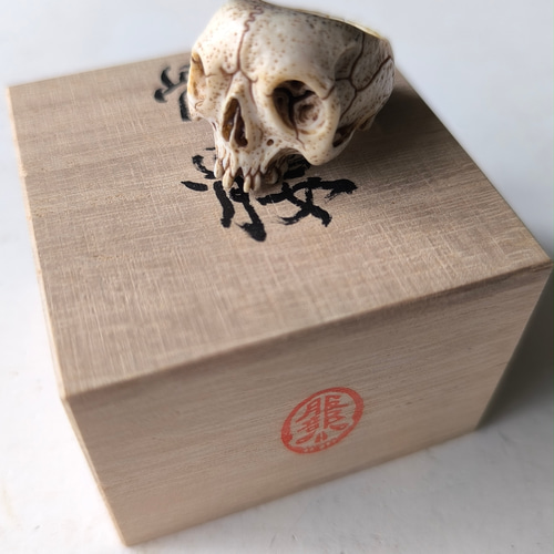 在銘】【髑髏作家服部】【鹿角製野晒指輪B】【桐箱付】髑髏 骷髅 骸骨