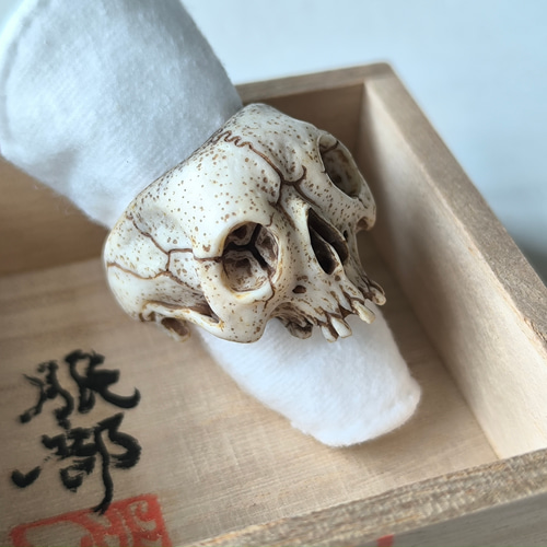 在銘】【髑髏作家服部】【鹿角製野晒指輪B】【桐箱付】髑髏 骷髅 骸骨