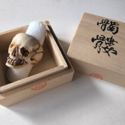 在銘 髑髏作家服部【泡末夢幻】鹿角製 髑髏根付 巾着+根付紐+共箱 野晒