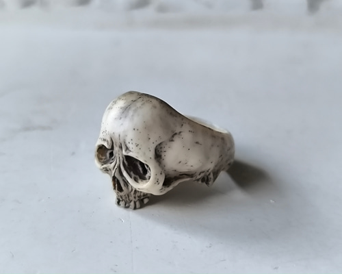 在銘】【髑髏作家服部】【鹿角製野晒指輪F】髑髏 骷髅 骸骨 スカル