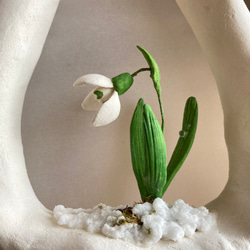 9995.bud  雪のフレーム　スノードロップ　 6枚目の画像