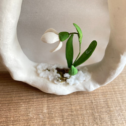 9995.bud  雪のフレーム　スノードロップ　 3枚目の画像