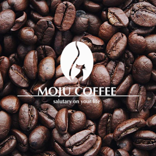 自家焙煎珈琲豆 MOJUCOFFEE コスタリカ オルティガ農園 カトゥーラ