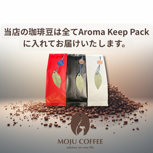 自家焙煎珈琲豆 MOJUCOFFEE コスタリカ オルティガ農園 カトゥーラ