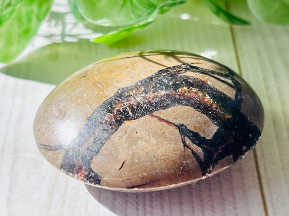 ドラゴンストーンঌ 龍の石 セプタリアン セブタリア 燐光 タンブル