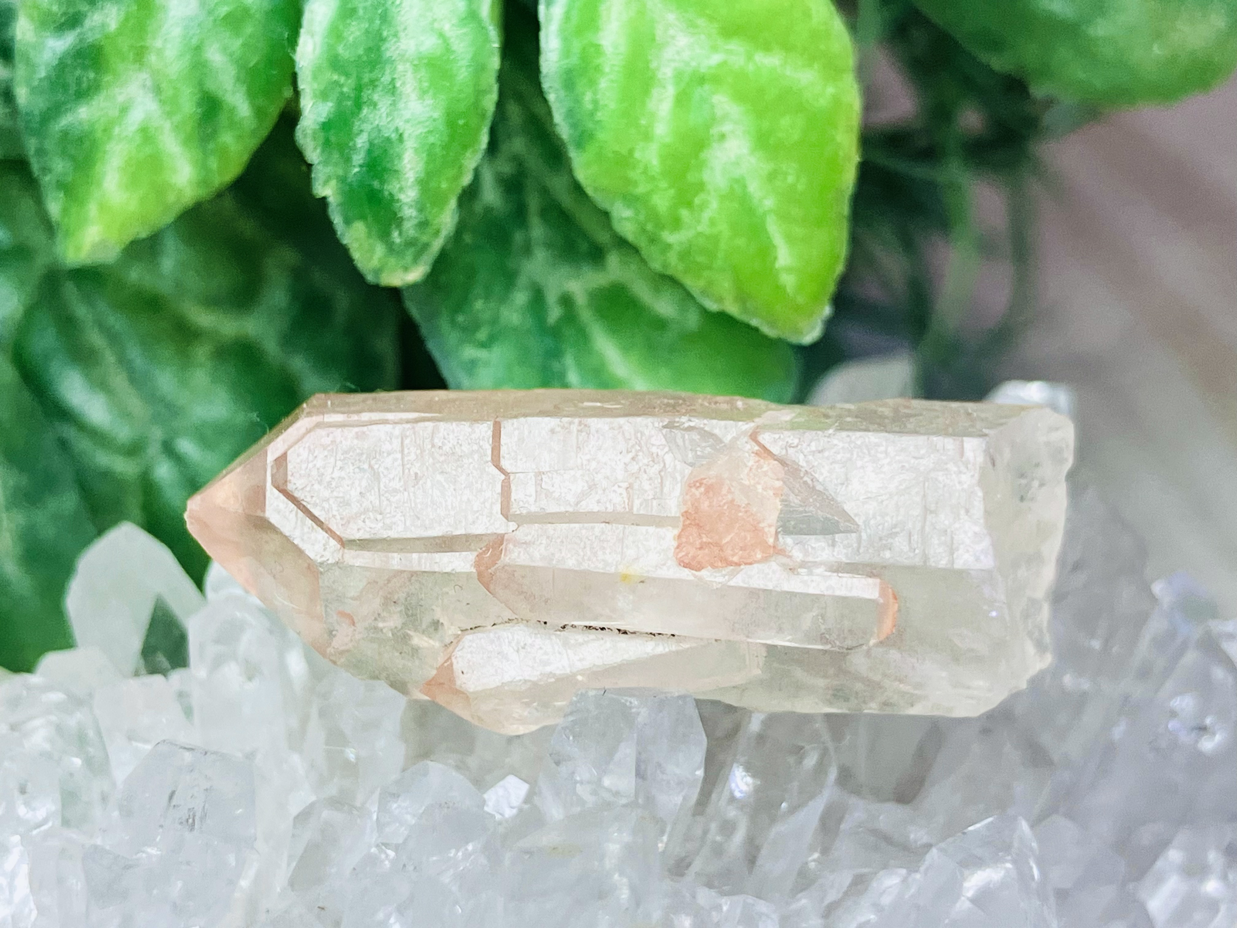 カテドラル✞.* ディアマンティーナ産 ピンクレムリアンシードクリスタル