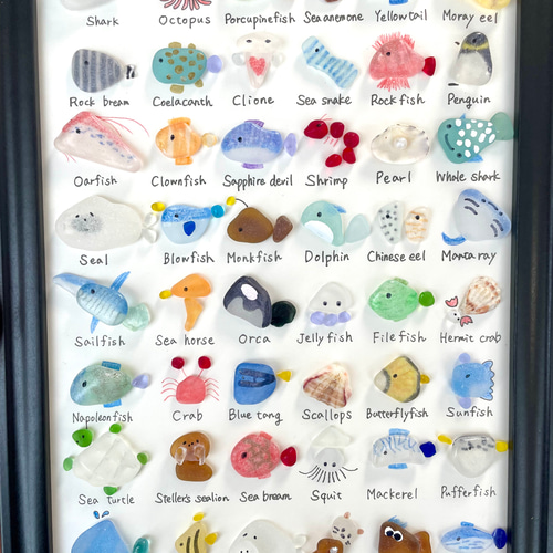 48種の海の生き物⭐︎大図鑑　ギフト　プレゼント　ジンベイザメ　シャチ　くじら No.195 縦サイズ！48種の海の生き物大図鑑 ギフト プレゼント