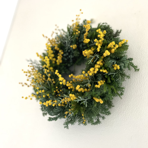 早春リース♪ ~ミモザ.ミランドールとタチカズラ リース 音の庭 ~dried